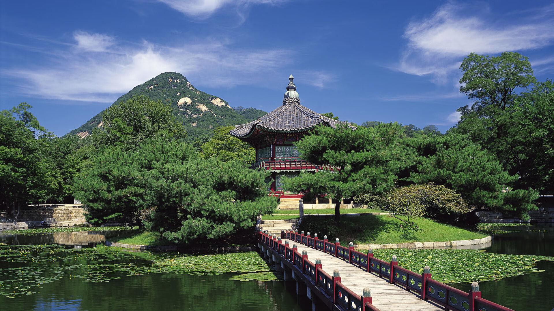 便宜又有效的減肥藥（最便宜的減肥藥多少錢(qián)）